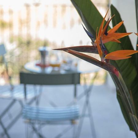 Apartamento La Strelitzia Cervo Mare Exterior foto